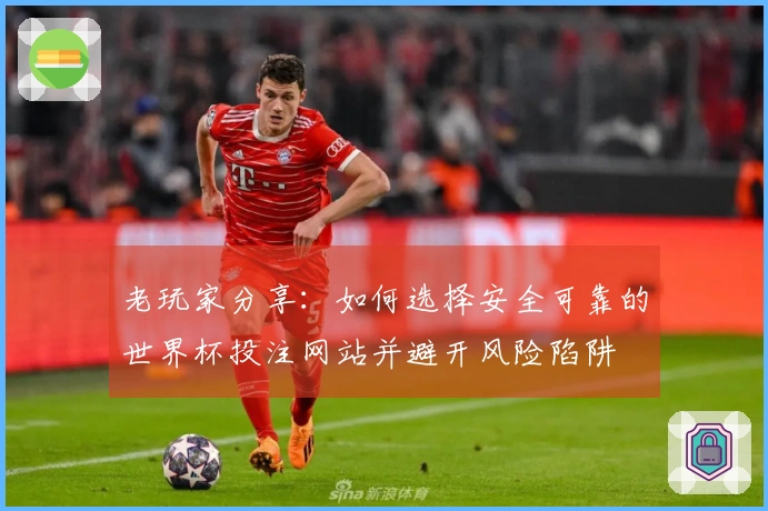 老玩家分享：如何选择安全可靠的世界杯投注网站并避开风险陷阱