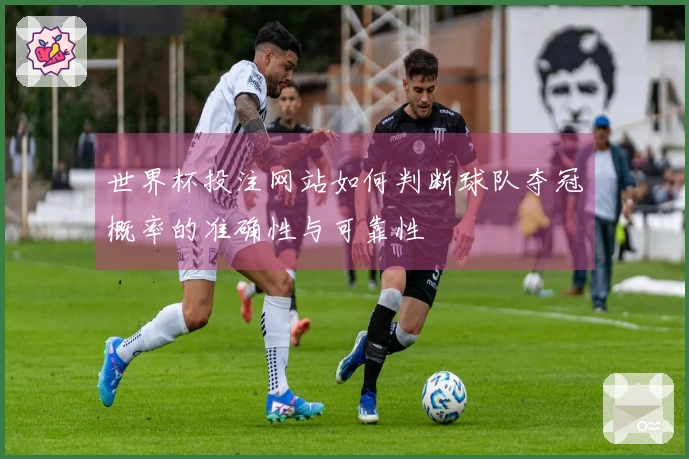 世界杯投注网站如何判断球队夺冠概率的准确性与可靠性
