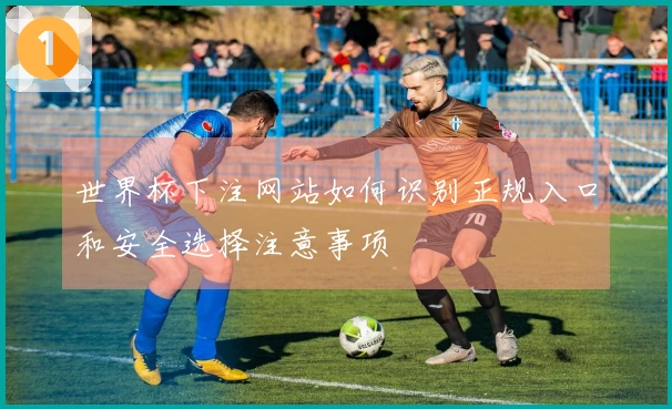 世界杯下注网站如何识别正规入口和安全选择注意事项