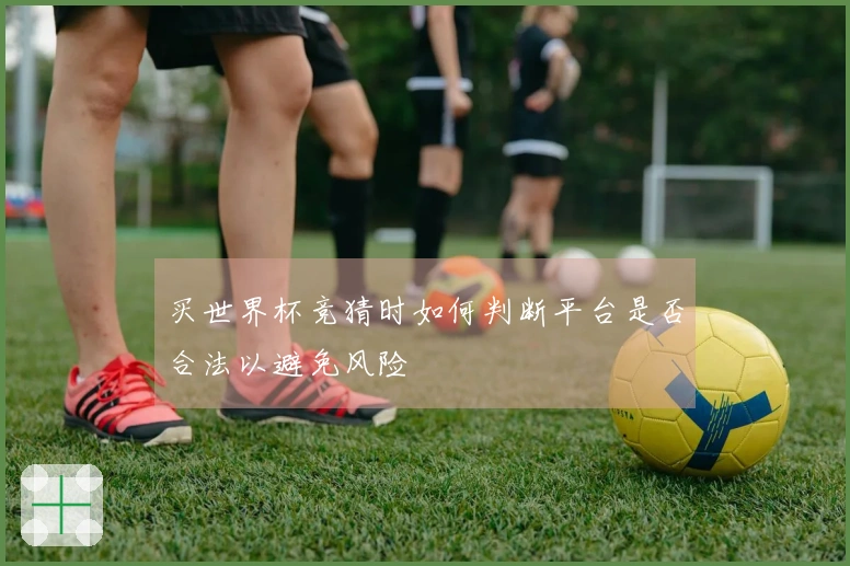 买世界杯竞猜时如何判断平台是否合法以避免风险