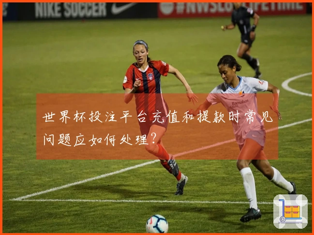 世界杯投注平台充值和提款时常见问题应如何处理？