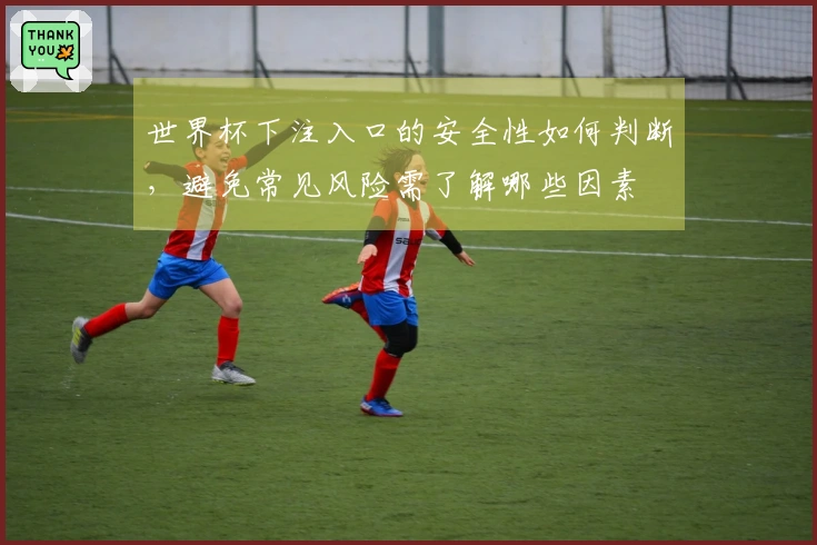 世界杯下注入口的安全性如何判断，避免常见风险需了解哪些因素