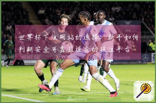 世界杯下注网站的选择：新手如何判断安全可靠且适合的投注平台