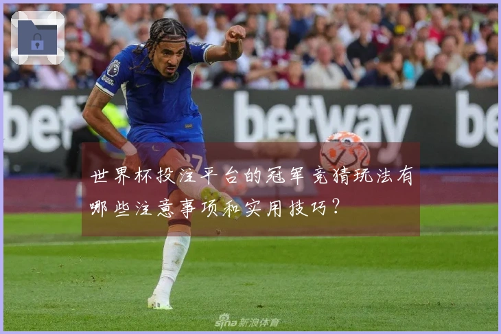 世界杯投注平台的冠军竞猜玩法有哪些注意事项和实用技巧？