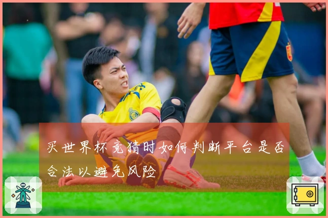 买世界杯竞猜时如何判断平台是否合法以避免风险