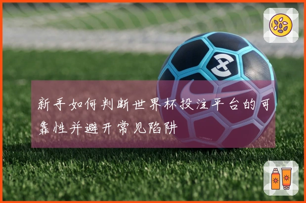新手如何判断世界杯投注平台的可靠性并避开常见陷阱