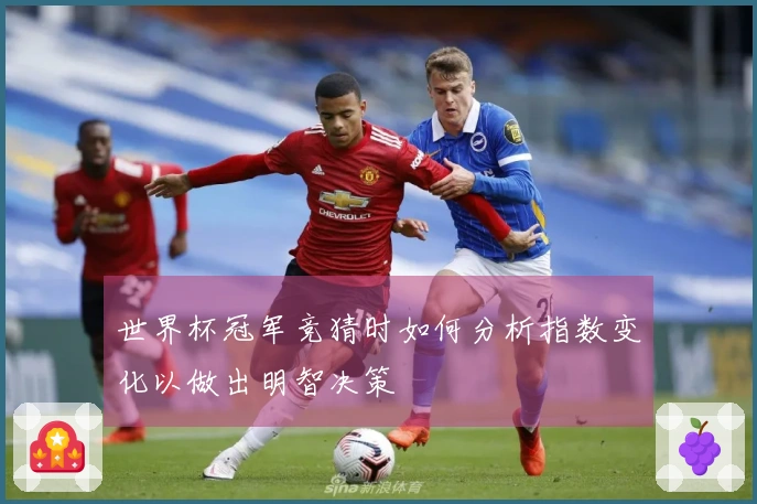 世界杯冠军竞猜时如何分析指数变化以做出明智决策