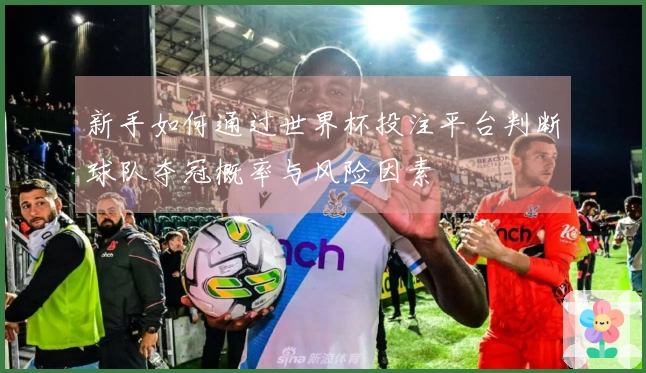 新手如何通过世界杯投注平台判断球队夺冠概率与风险因素