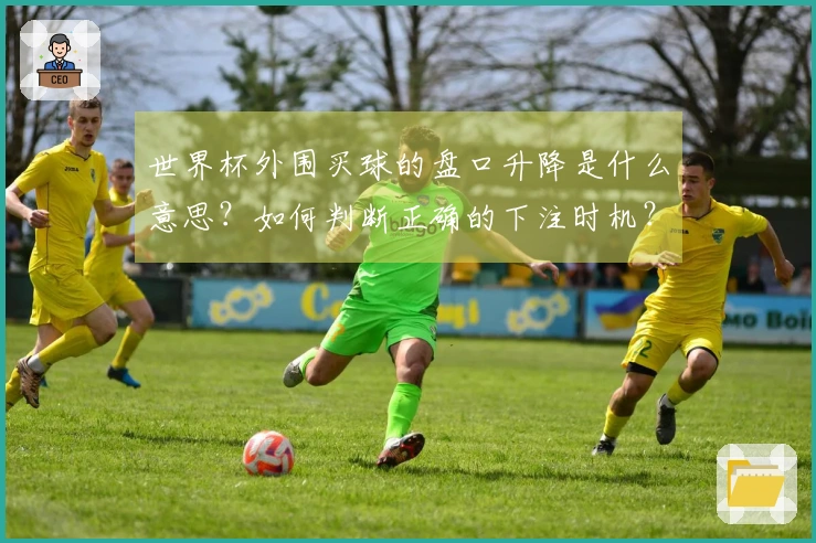 世界杯外围买球的盘口升降是什么意思？如何判断正确的下注时机？