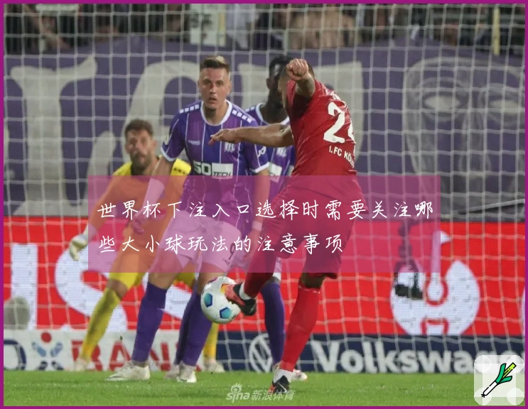 世界杯下注入口选择时需要关注哪些大小球玩法的注意事项