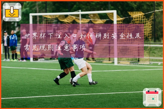 世界杯下注入口如何辨别安全性及常见规则注意事项