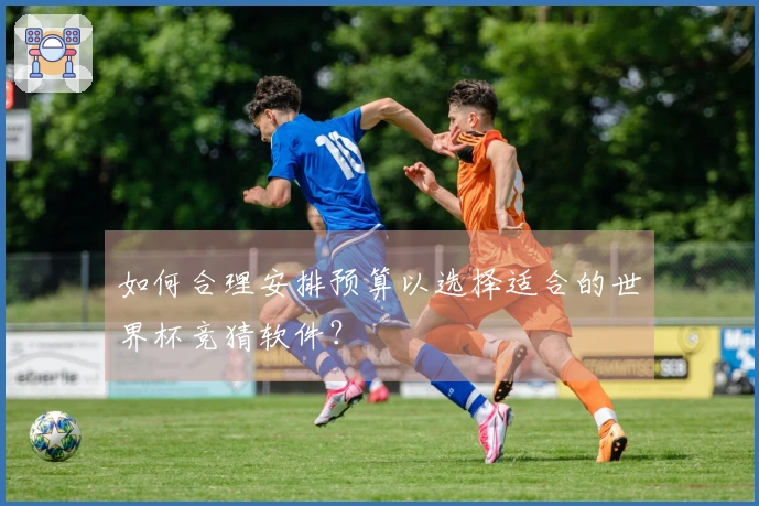 如何合理安排预算以选择适合的世界杯竞猜软件？