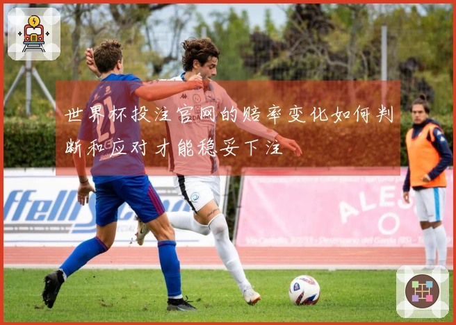 世界杯投注官网的赔率变化如何判断和应对才能稳妥下注
