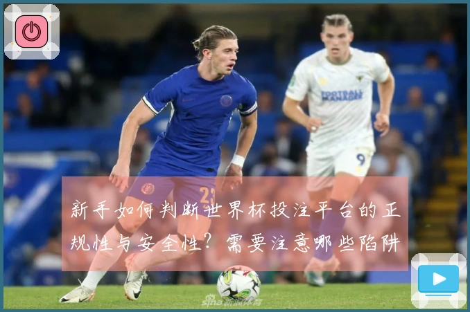 新手如何判断世界杯投注平台的正规性与安全性？需要注意哪些陷阱？
