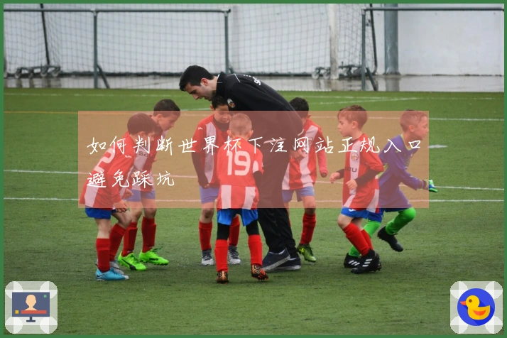 如何判断世界杯下注网站正规入口避免踩坑