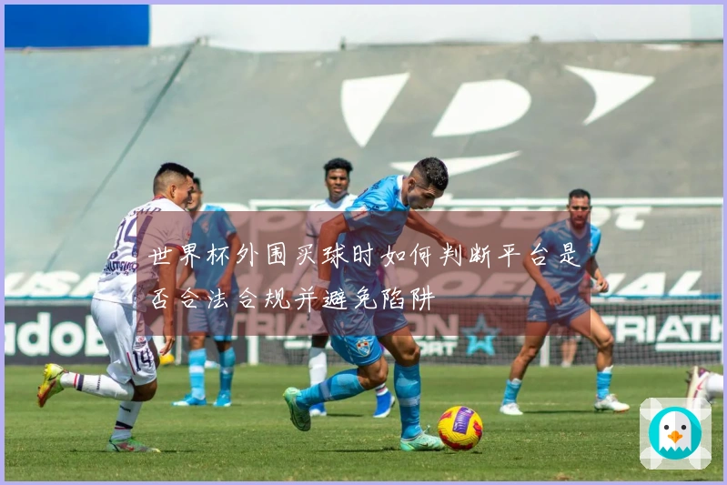 世界杯外围买球时如何判断平台是否合法合规并避免陷阱