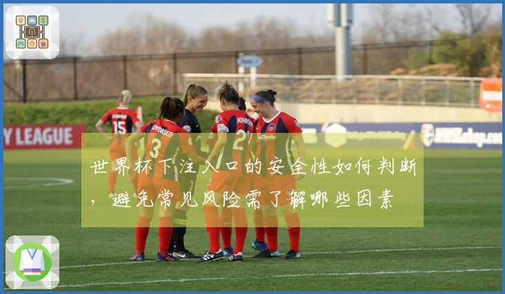 世界杯下注入口的安全性如何判断，避免常见风险需了解哪些因素
