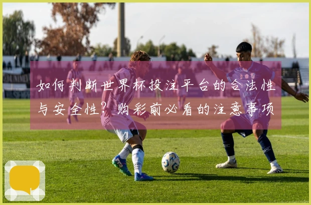 如何判断世界杯投注平台的合法性与安全性？购彩前必看的注意事项