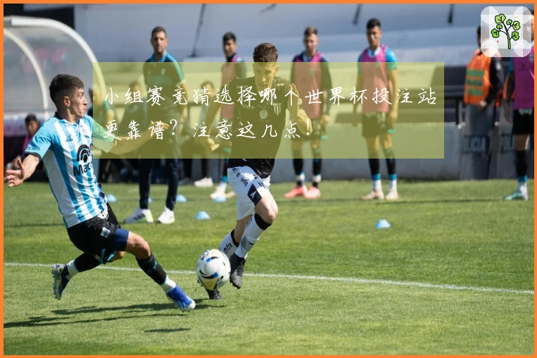 小组赛竞猜选择哪个世界杯投注站更靠谱？注意这几点！
