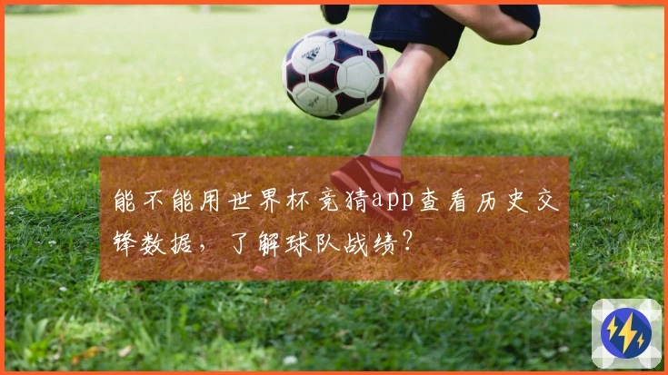 能不能用世界杯竞猜app查看历史交锋数据，了解球队战绩？