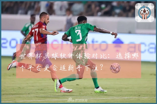 世界杯买球软件体验对比：选择哪个平台更合适新手下注？