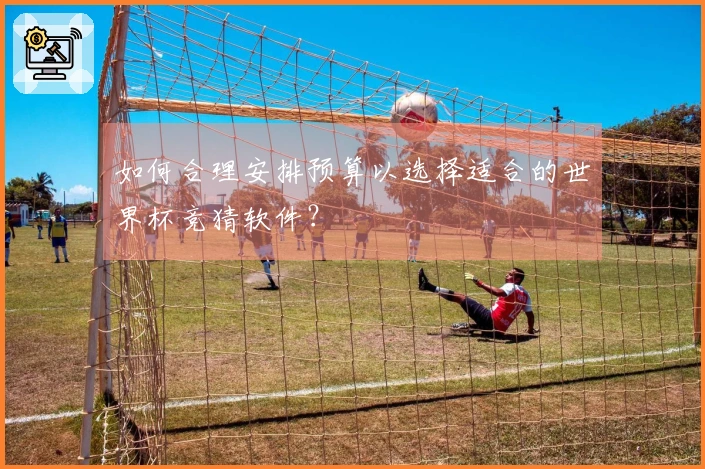 如何合理安排预算以选择适合的世界杯竞猜软件？