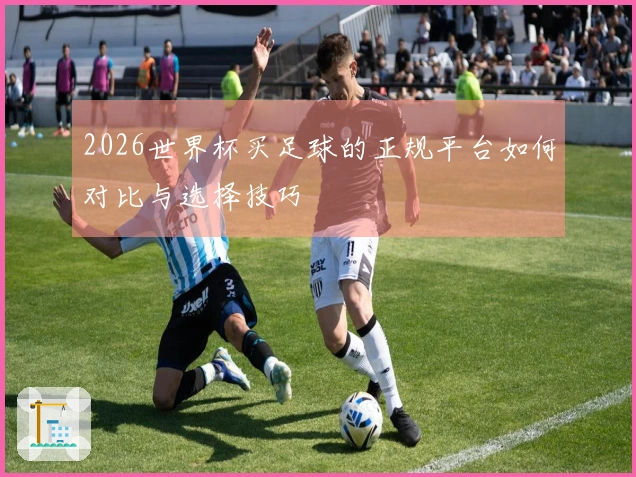 2026世界杯买足球的正规平台如何对比与选择技巧