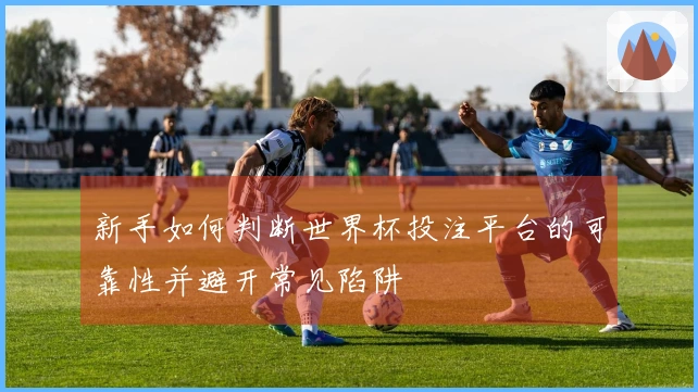 新手如何判断世界杯投注平台的可靠性并避开常见陷阱
